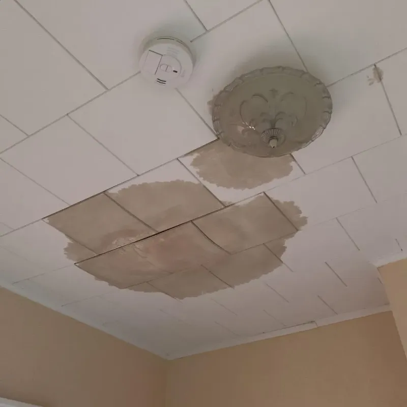 Ceiling Water Damage Repair in Rockfish, NC