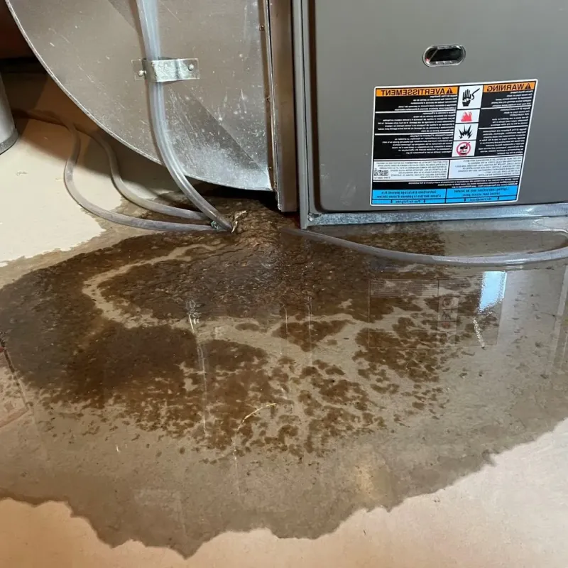 Pipe Burst and Leak Restoration in Rockfish, NC