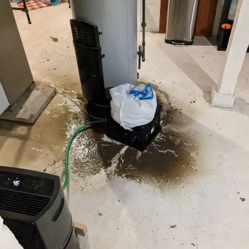 Sewage Backup Cleanup Service in Rockfish, NC